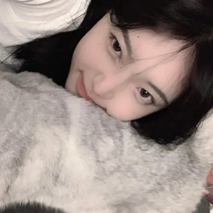 冰雪小尖兵在线观看