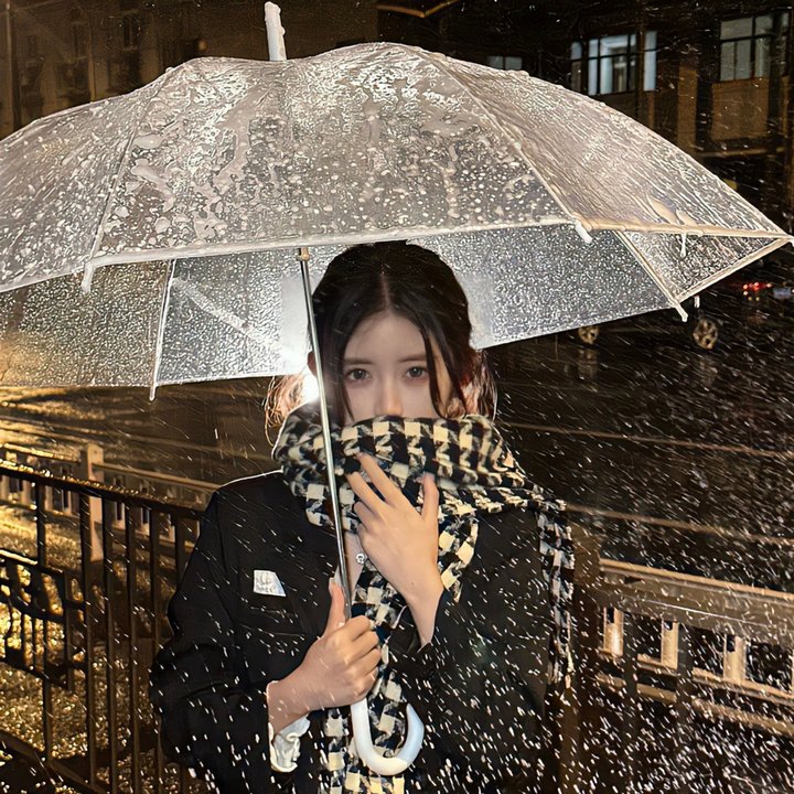雨中的永东桥在线观看